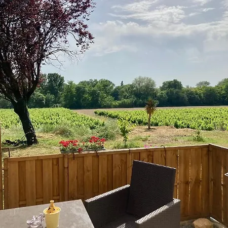 Lodging Gîte Au Milieu des Vignes&des Étoiles Saint-Jean-de-Fos Extérieur photo